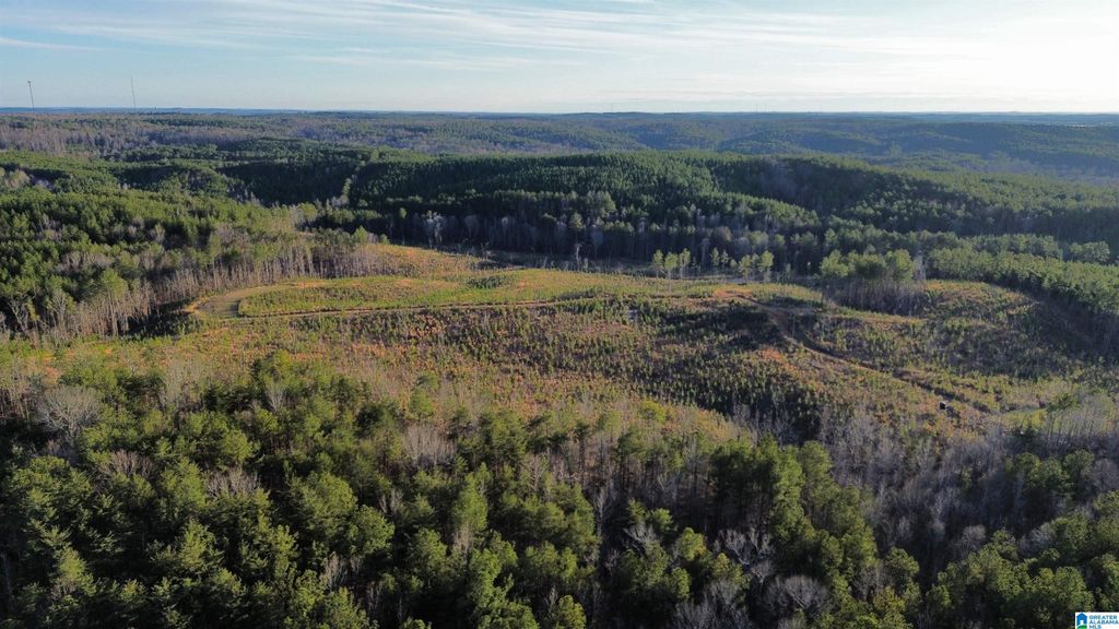 18924 BAMA ROCK GARDEN ROAD, Vance, AL 35490