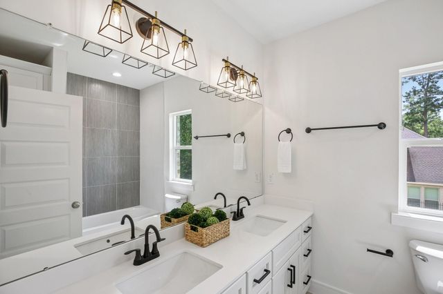 205 Wyndemere Drive, Montgomery, TX 77356
