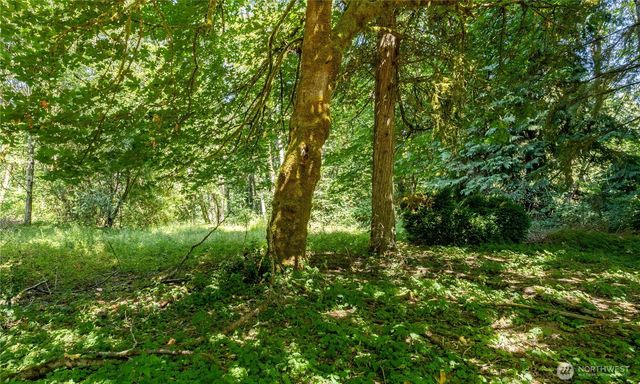 111 Spring Court, Vader, WA 98593