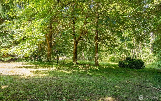 111 Spring Court, Vader, WA 98593