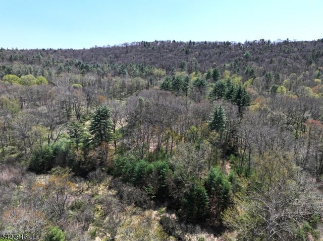217 River Rd, Montague Twp., NJ 07827