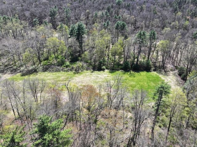 217 River Rd, Montague Twp., NJ 07827