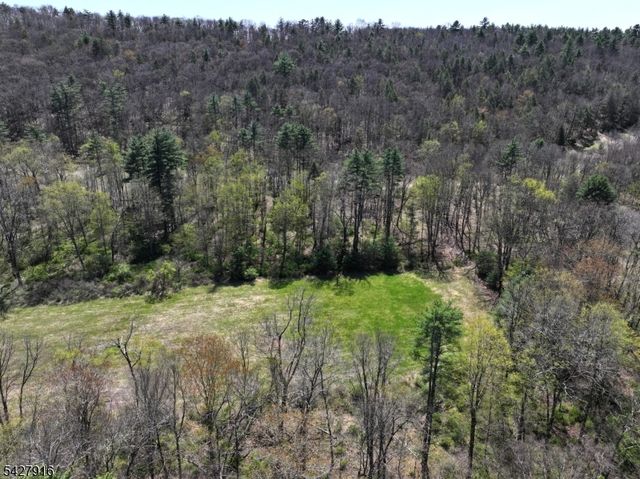 217 River Rd, Montague Twp., NJ 07827