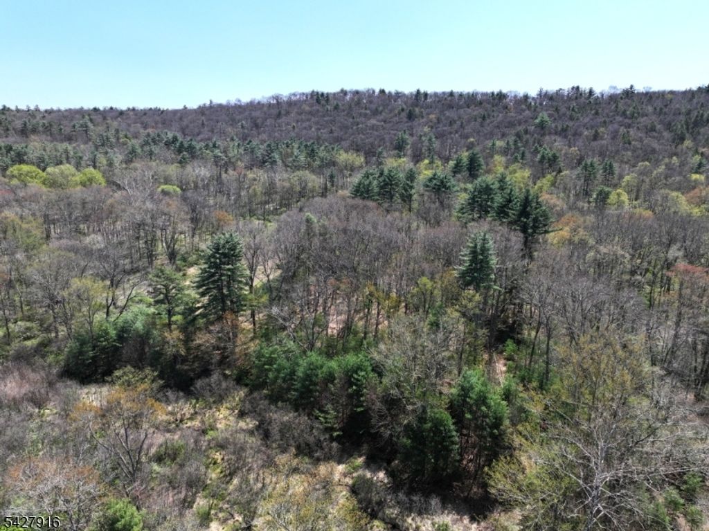 217 River Rd, Montague Twp., NJ 07827 — photo 5
