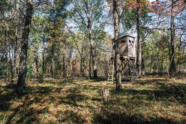 81 Acres ANDERSON ROAD, Neillsville, WI 54456