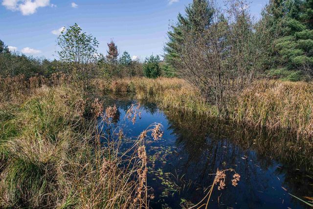 81 Acres ANDERSON ROAD, Neillsville, WI 54456