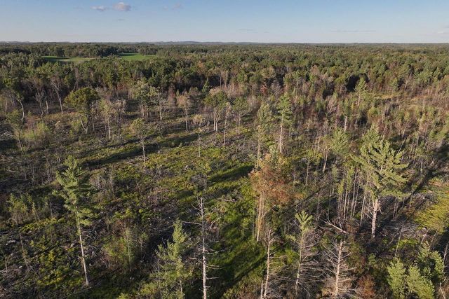 81 Acres ANDERSON ROAD, Neillsville, WI 54456