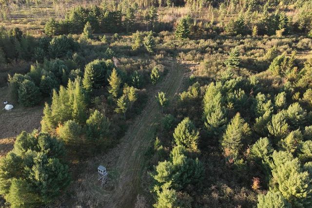 81 Acres ANDERSON ROAD, Neillsville, WI 54456