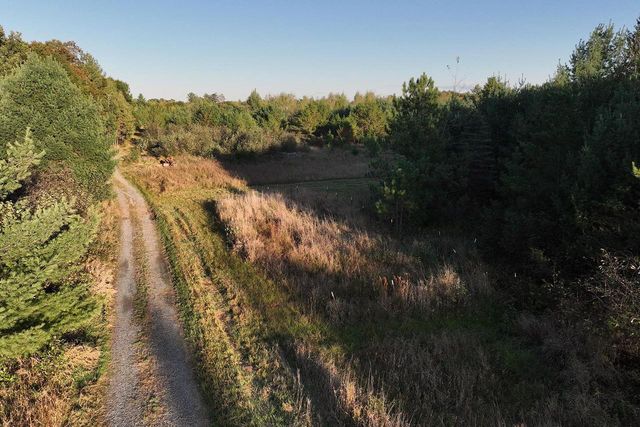 81 Acres ANDERSON ROAD, Neillsville, WI 54456