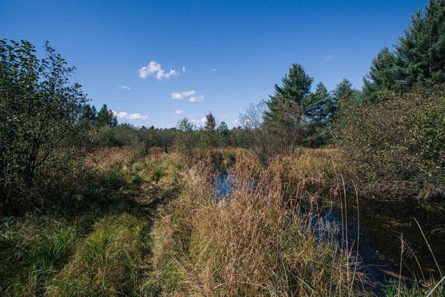 81 Acres ANDERSON ROAD, Neillsville, WI 54456
