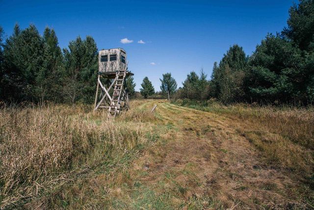 81 Acres ANDERSON ROAD, Neillsville, WI 54456