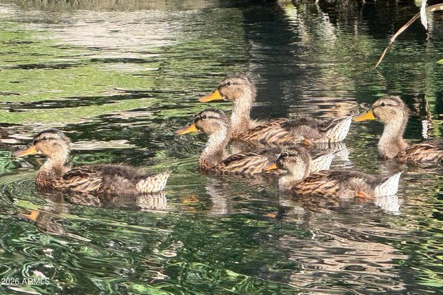 2989 N 44TH Street 2039, Phoenix, AZ 85018