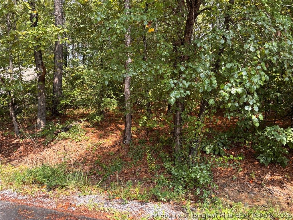 668 CHELSEA Drive, Sanford, NC 27332 — exterior