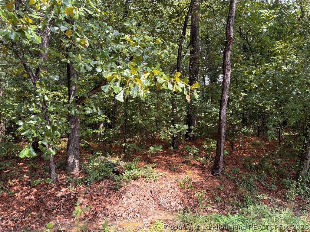 668 CHELSEA Drive, Sanford, NC 27332 — photo 2