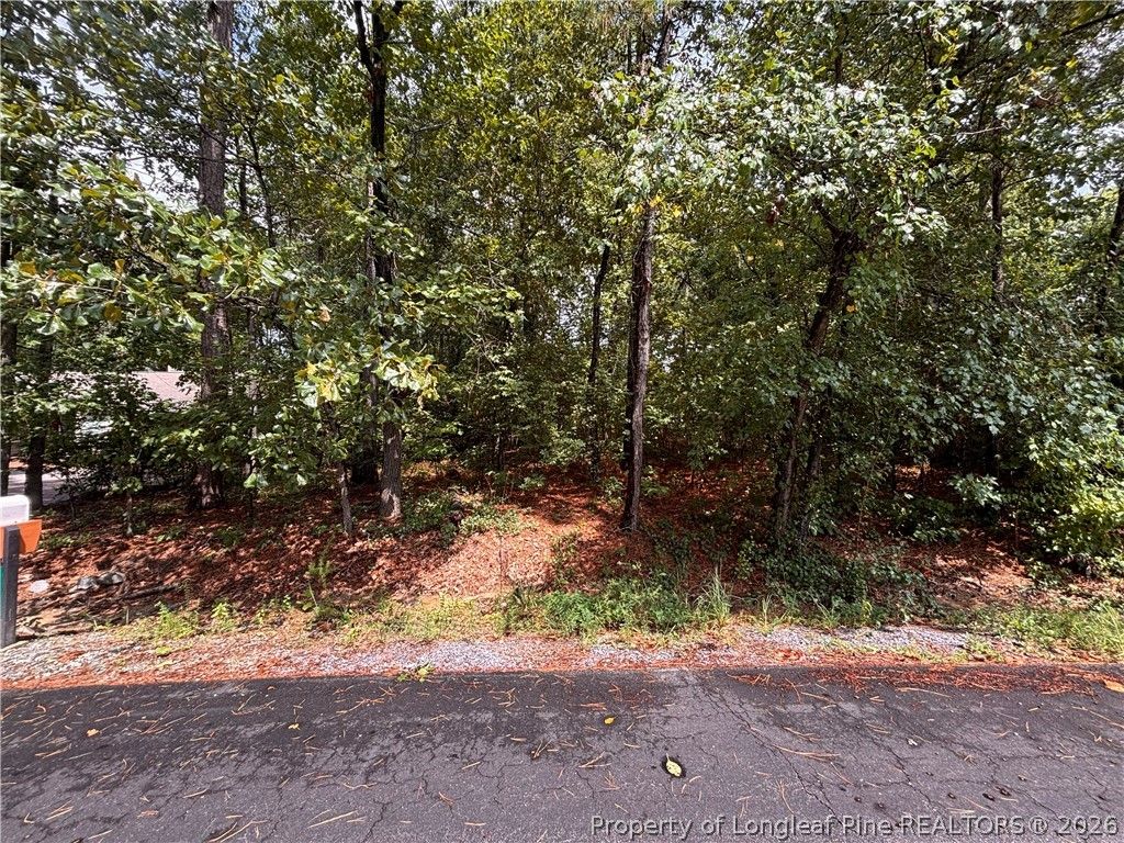 668 CHELSEA Drive, Sanford, NC 27332 — photo 3