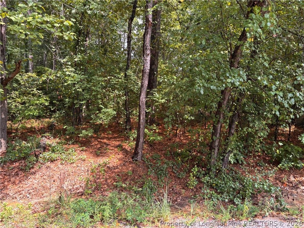 668 CHELSEA Drive, Sanford, NC 27332 — photo 4