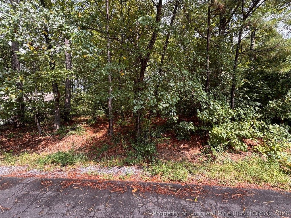 668 CHELSEA Drive, Sanford, NC 27332 — photo 5