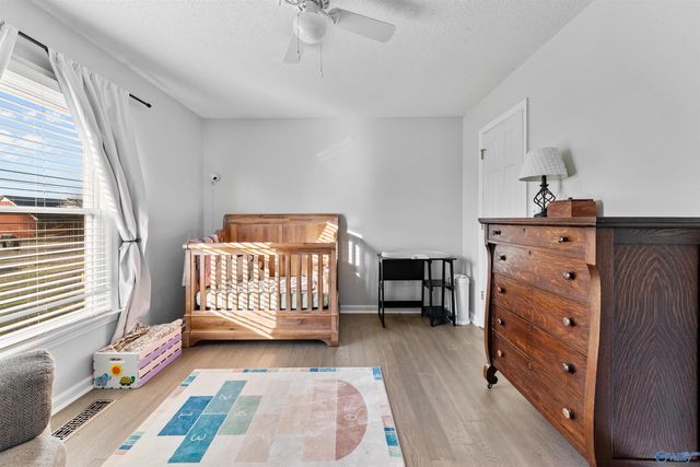 117 Spring Tanner Road, Hazel Green, AL 35750