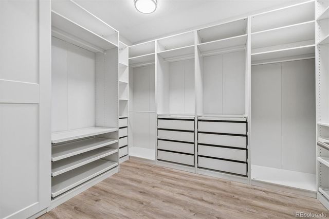 6601 Mentha Drive, Castle Rock, CO 80108