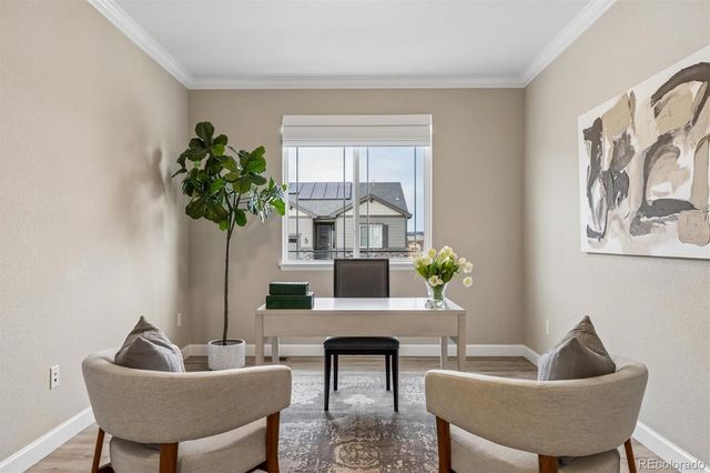 6601 Mentha Drive, Castle Rock, CO 80108