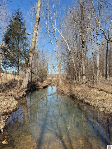 400 Jeff Clements Road, Marion, KY 42064