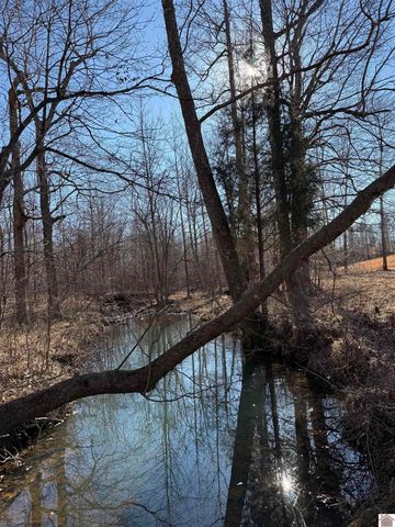 400 Jeff Clements Road, Marion, KY 42064