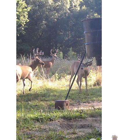 400 Jeff Clements Road, Marion, KY 42064