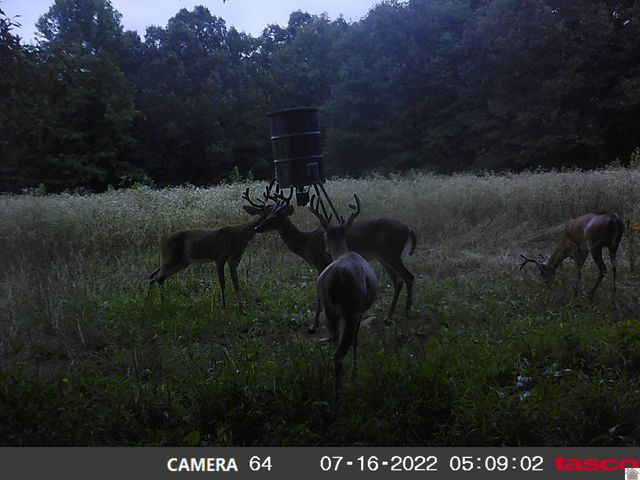 400 Jeff Clements Road, Marion, KY 42064