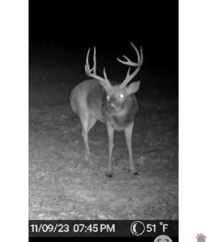 400 Jeff Clements Road, Marion, KY 42064