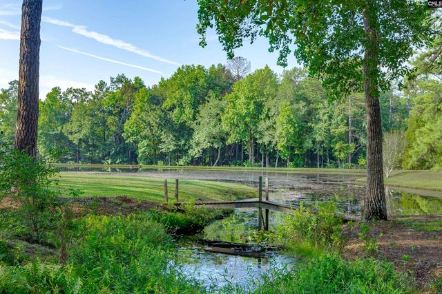339 Clermont Lakes Drive, Lexington, SC 29073