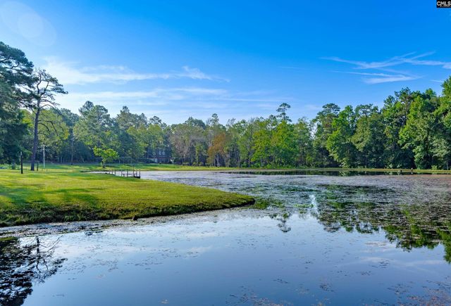 339 Clermont Lakes Drive, Lexington, SC 29073