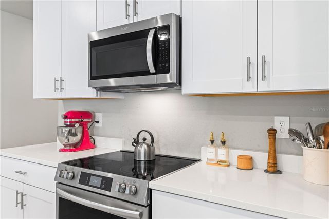 32502 LIMITLESS PLACE, Wesley Chapel, FL 33545