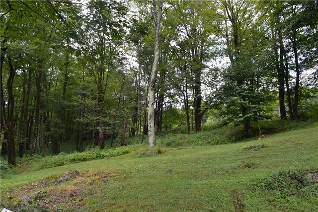 833 Biffar Road, Hancock, NY 12760