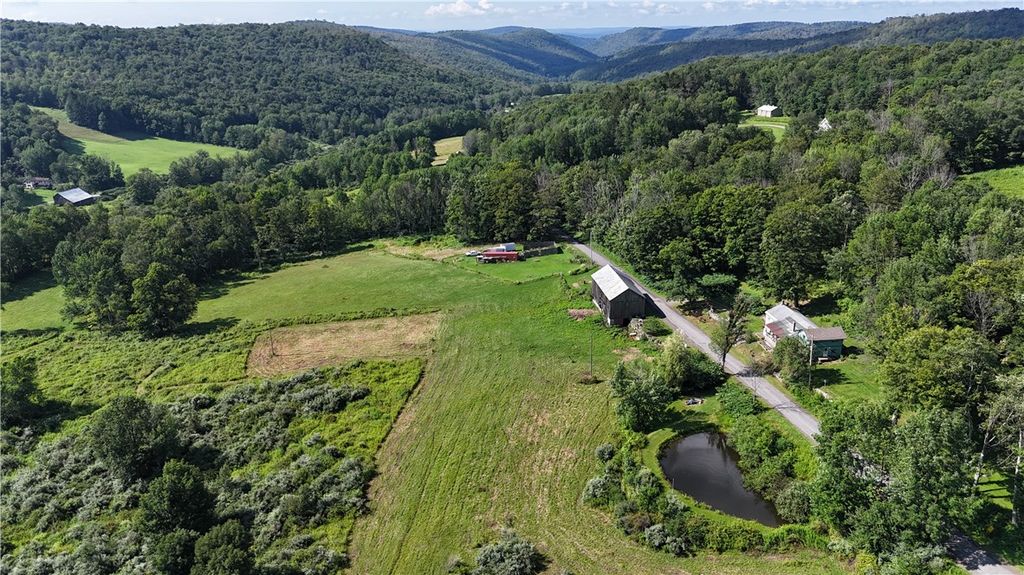 833 Biffar Road, Hancock, NY 12760