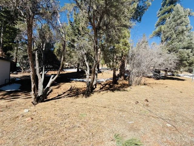 808 Antelope Mountain, Big Bear City, CA 92314