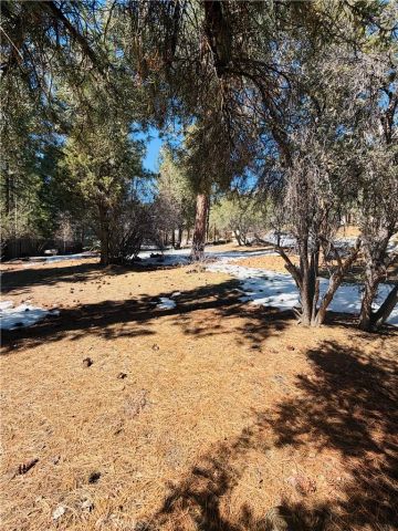 808 Antelope Mountain, Big Bear City, CA 92314