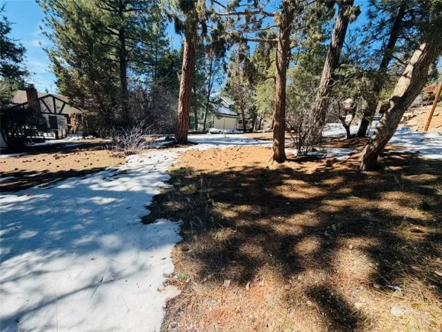 808 Antelope Mountain, Big Bear City, CA 92314