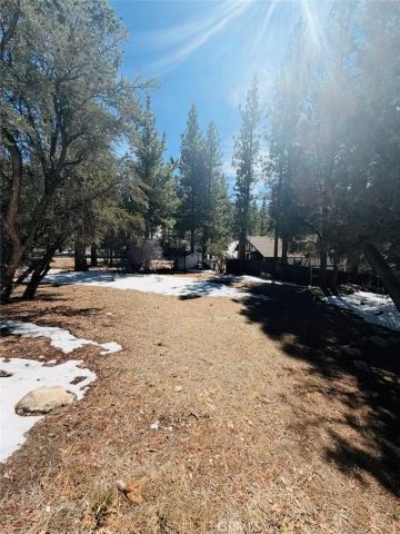 808 Antelope Mountain, Big Bear City, CA 92314