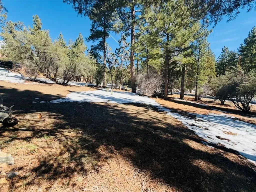 808 Antelope Mountain, Big Bear City, CA 92314