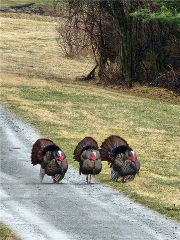 5397 Buck Settlement Road, Bath, NY 14810