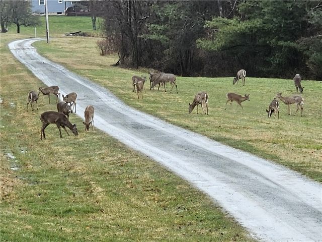 5397 Buck Settlement Road, Bath, NY 14810