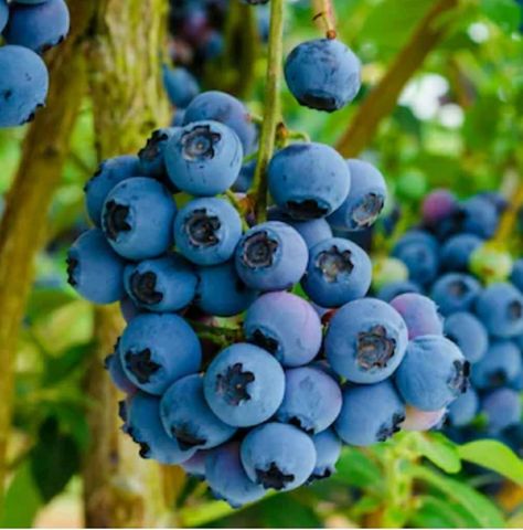 5397 Buck Settlement Road, Bath, NY 14810