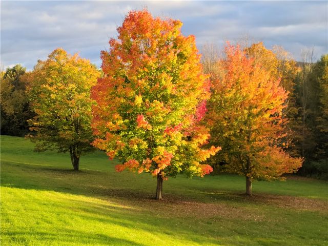 5397 Buck Settlement Road, Bath, NY 14810