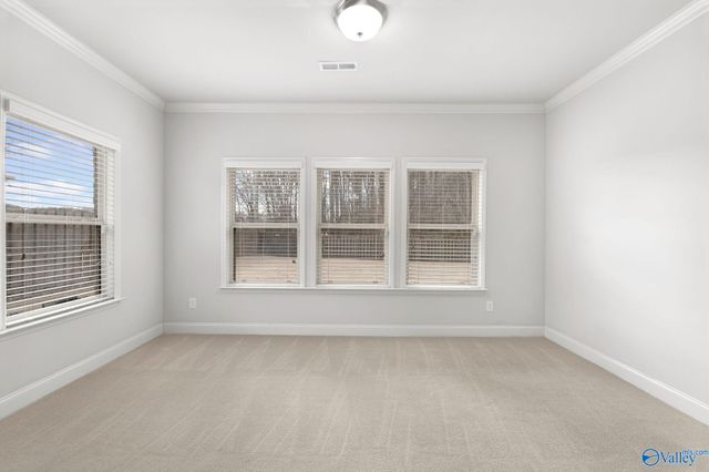 137 Chesnut Heath Court, Madison, AL 35756