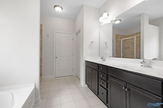 137 Chesnut Heath Court, Madison, AL 35756