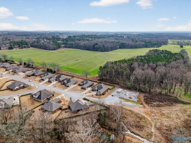 137 Chesnut Heath Court, Madison, AL 35756