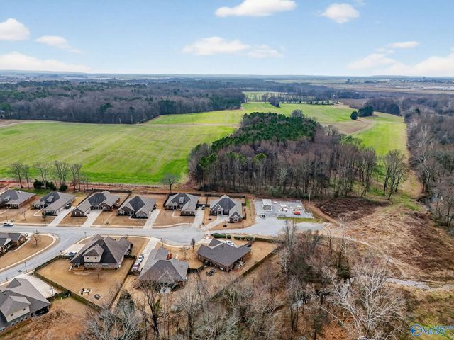 137 Chesnut Heath Court, Madison, AL 35756