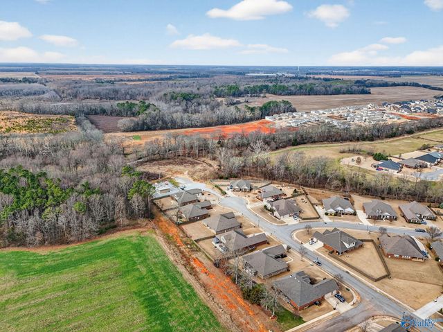 137 Chesnut Heath Court, Madison, AL 35756