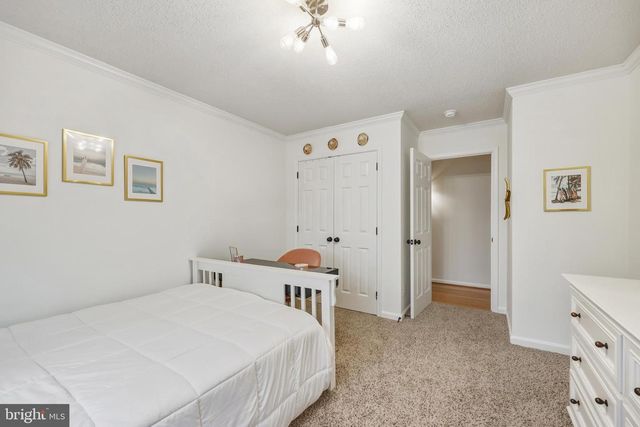 8439 DEN CIR, King George, VA 22485