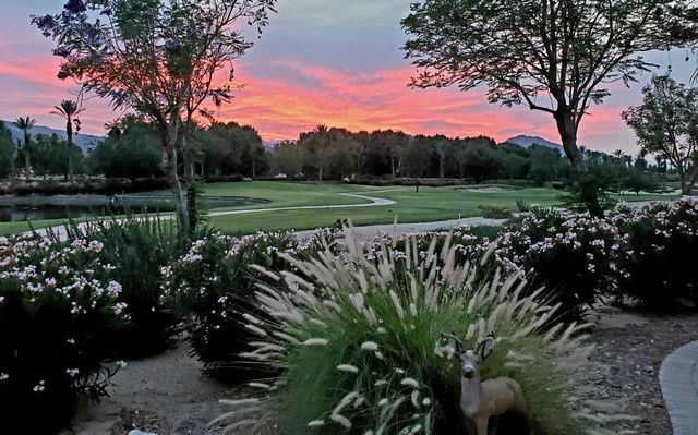 60553 Juniper Lane, La Quinta, CA 92253